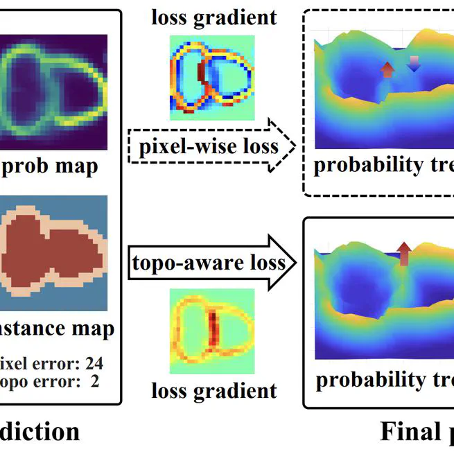 TopoSeg: Topology-Aware Nuclear Instance Segmentation