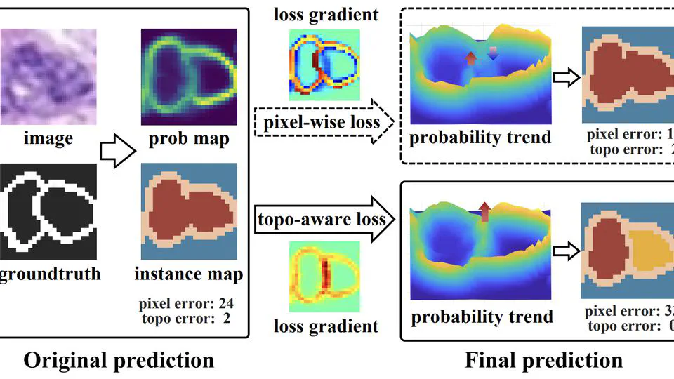 TopoSeg: Topology-Aware Nuclear Instance Segmentation