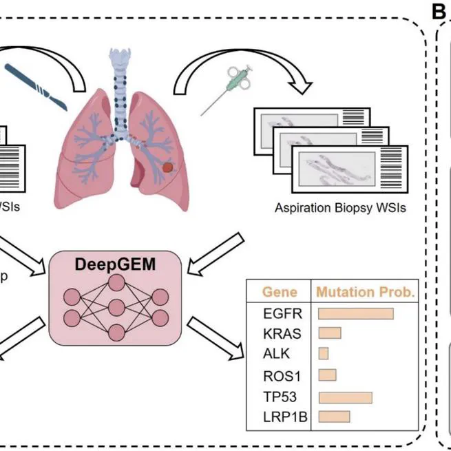 Deep Learning Using Histological Images for Gene Mutation Prediction in Lung Cancer: a Multicentre Retrospective Study